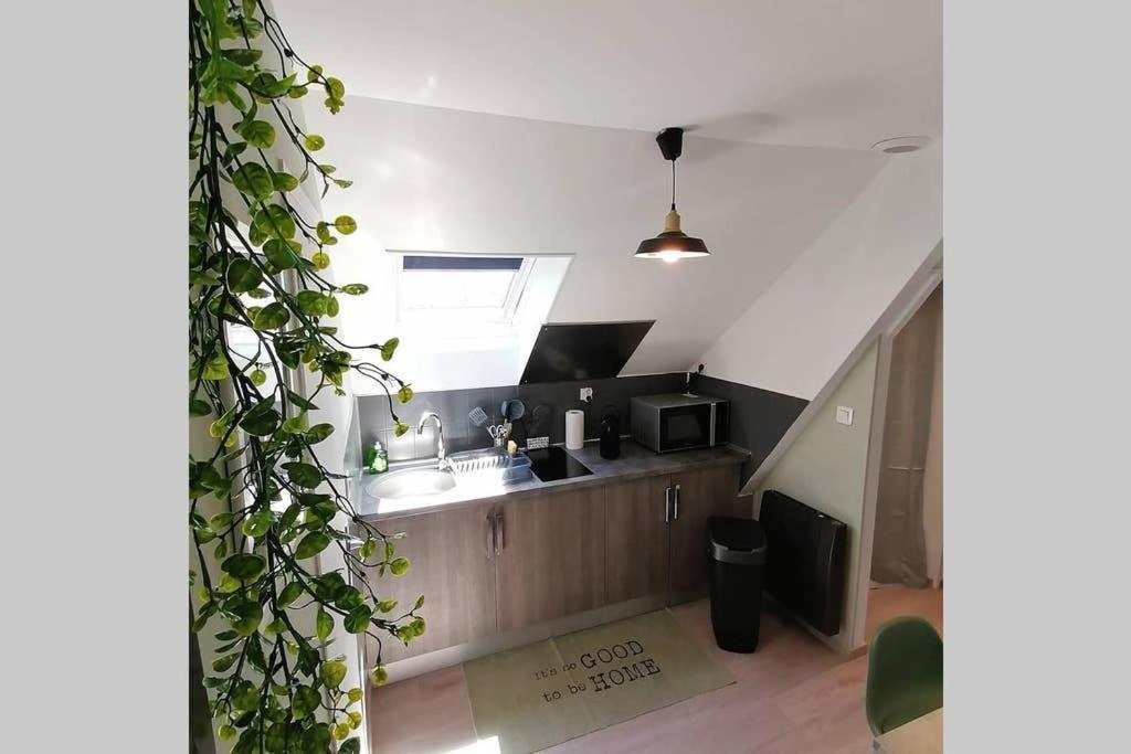 Le Cosy Apartamento Sens Exterior foto